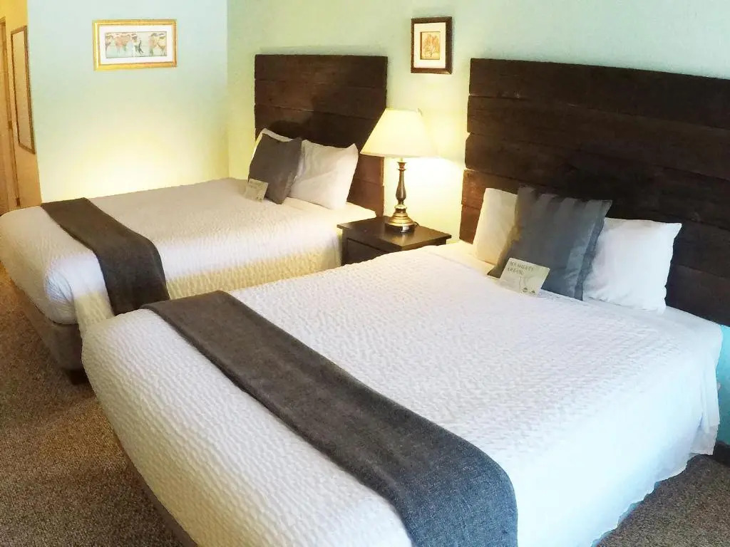 Mountain View Lodge