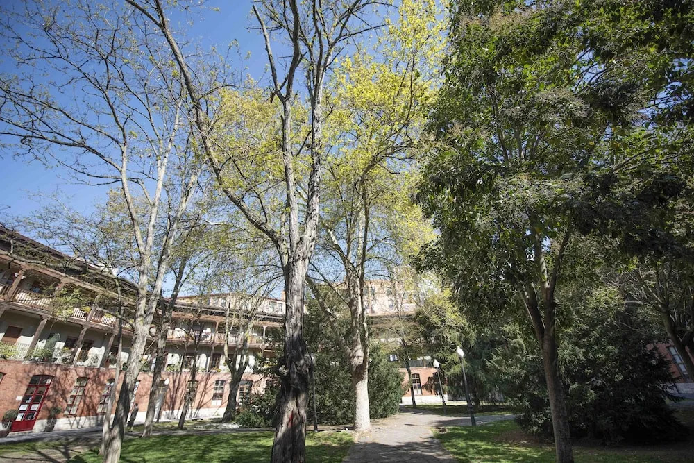 Espacios Blanco Plaza del Viejo Coso