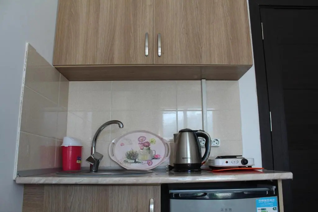 Hotel Mgzvarebi Flat -204