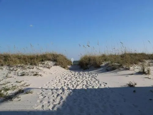 Sea Oats H102 Condo