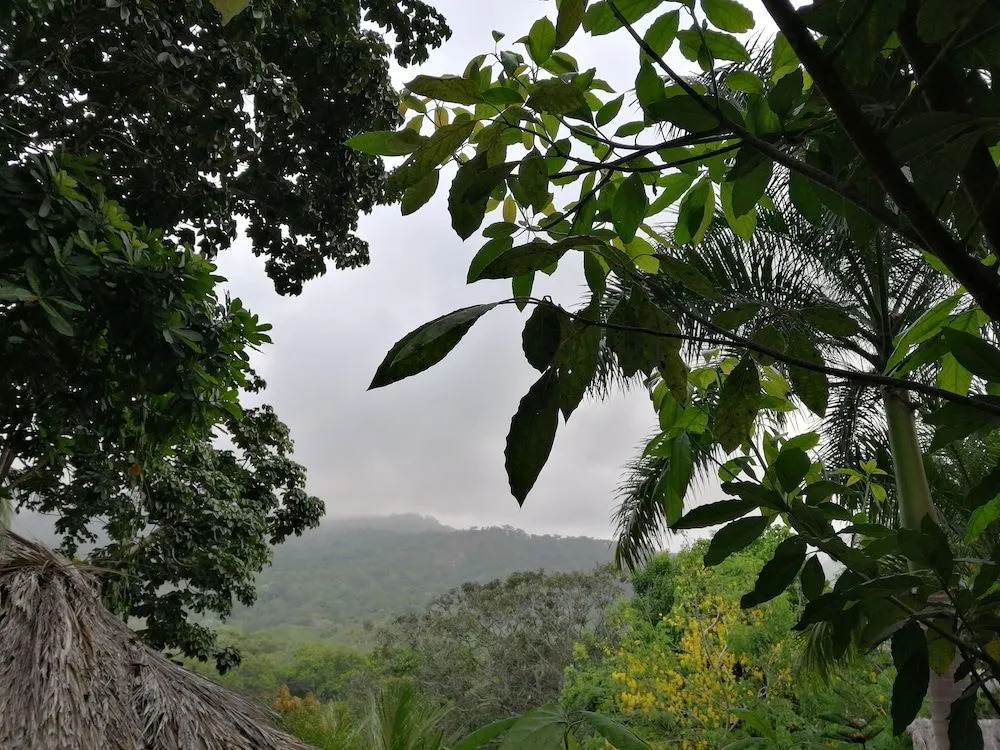 Hostal Monte Verde