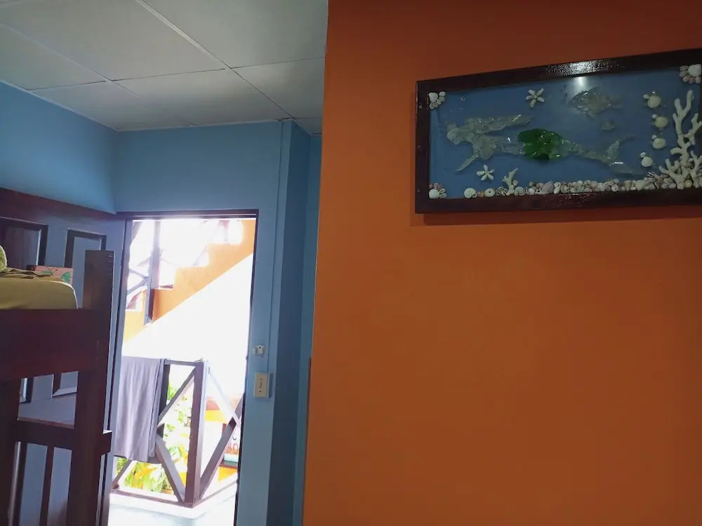 Surfari Bocas