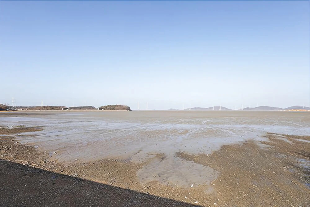 Ongjin Seonjae Beach Pension
