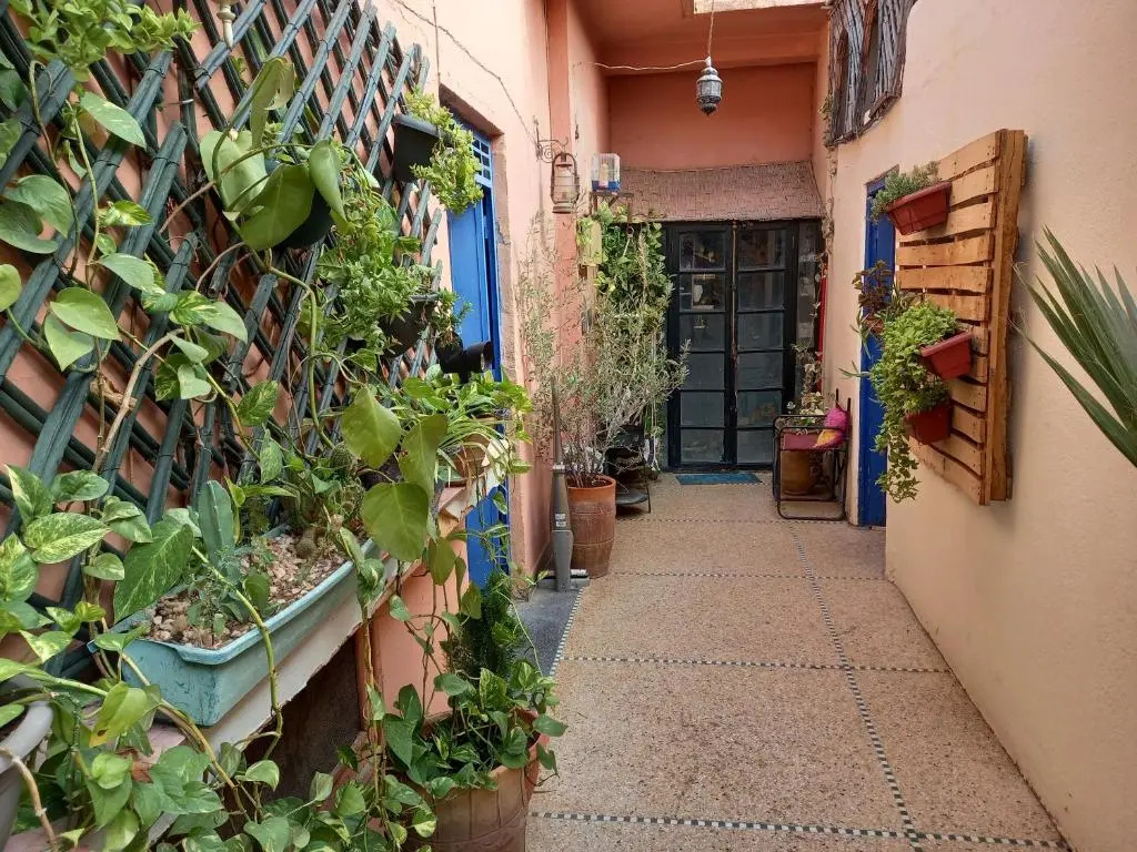 studio Dar Rmila