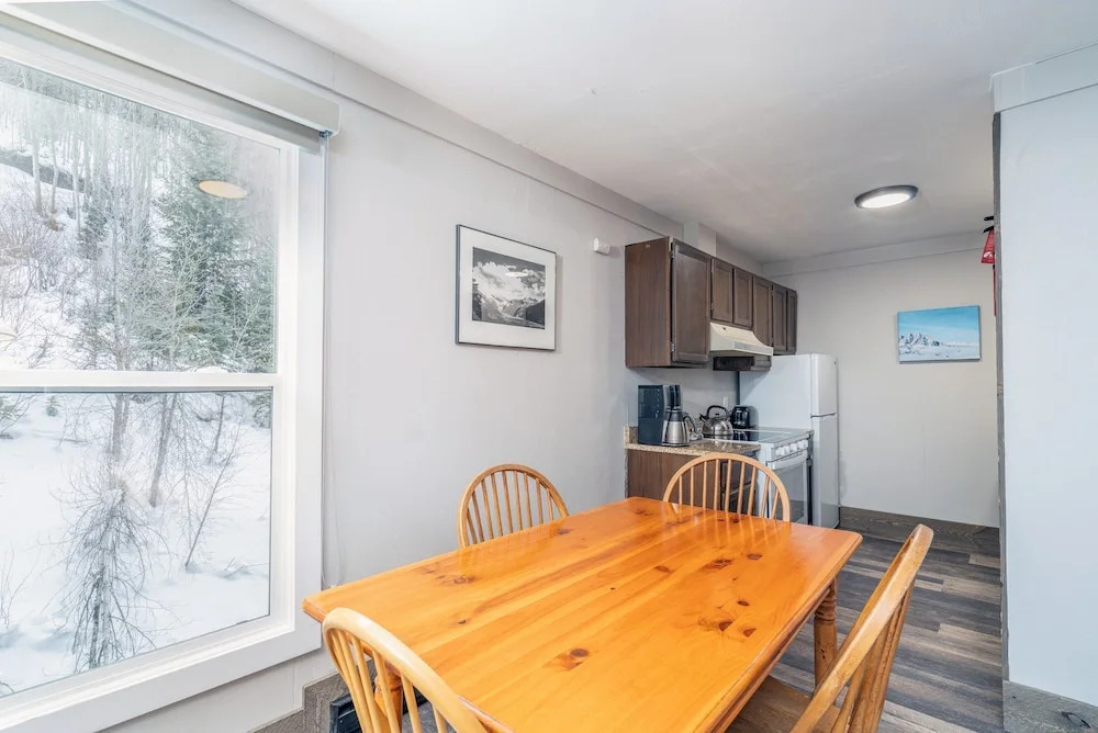 Mountainside Inn 313 1 Bedroom Condo by Alpine Lodging Telluride