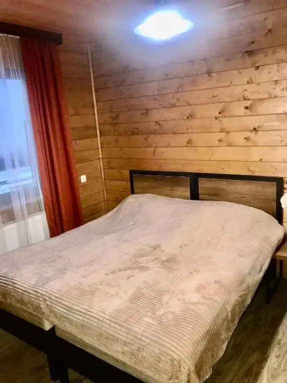 cozy wooden cottage in Bakuriani