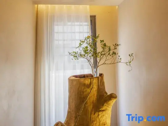 Shanyu Su said homestay (Huangguoshu Waterfall Scenic Area Store)
