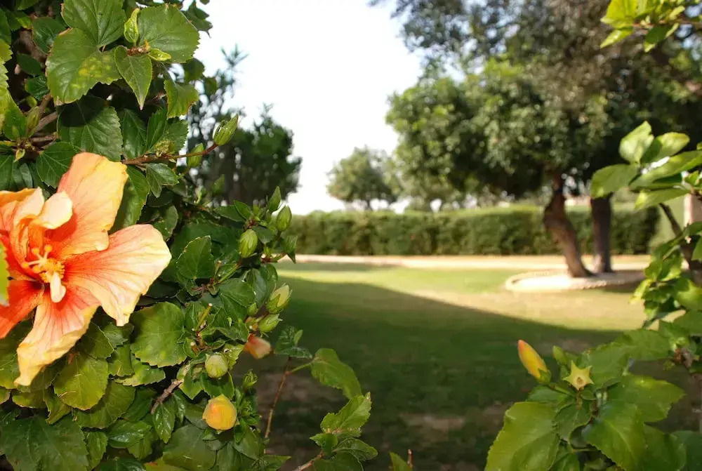 3 Br Villa Paparouna - Aph 3593