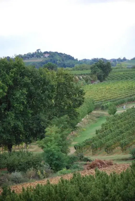Casale13