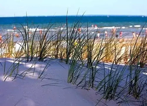 Cottage am Meer