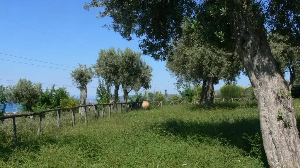 Agriturismo Serre
