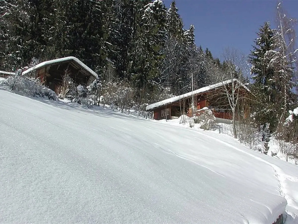 Schnäggedanz, Chalet