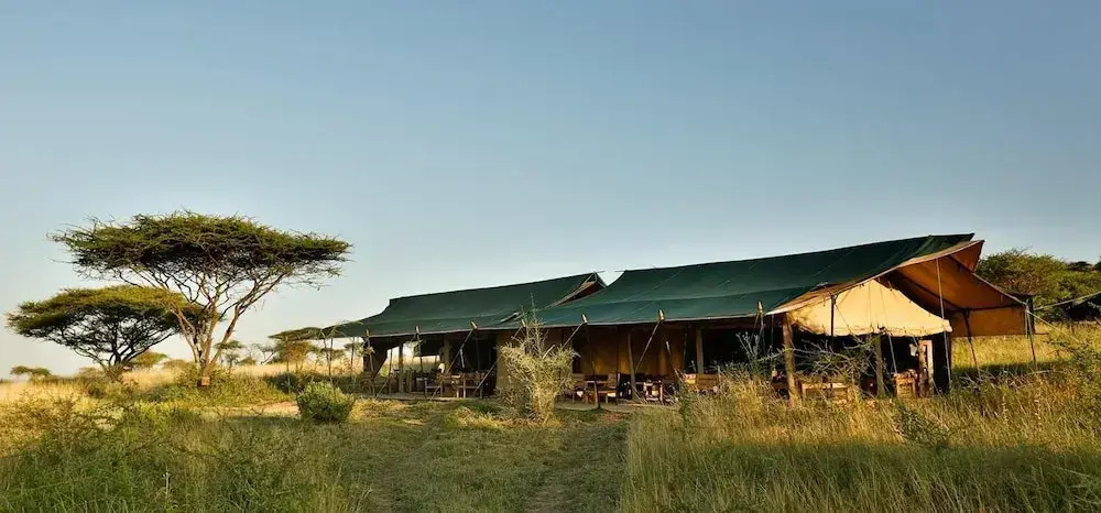 Nyikani Camp- Central Serengeti