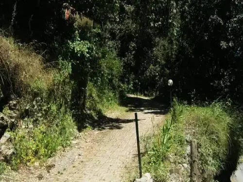 Janardan Homestay Nainital
