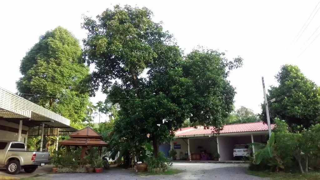 The Park