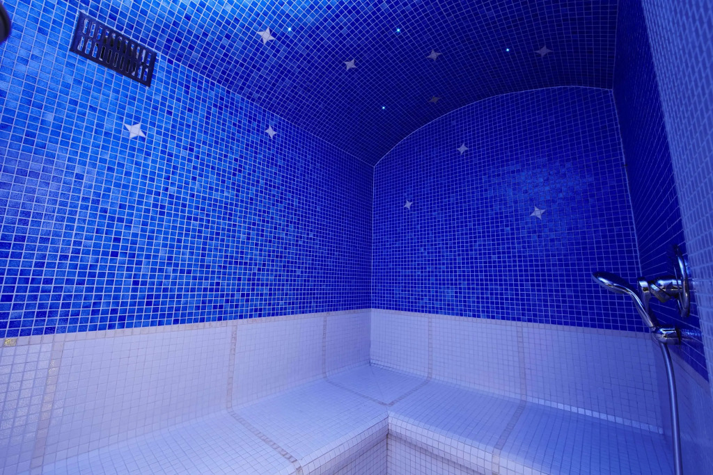 Best Western Plus Au cheval Blanc à Mulhouse
