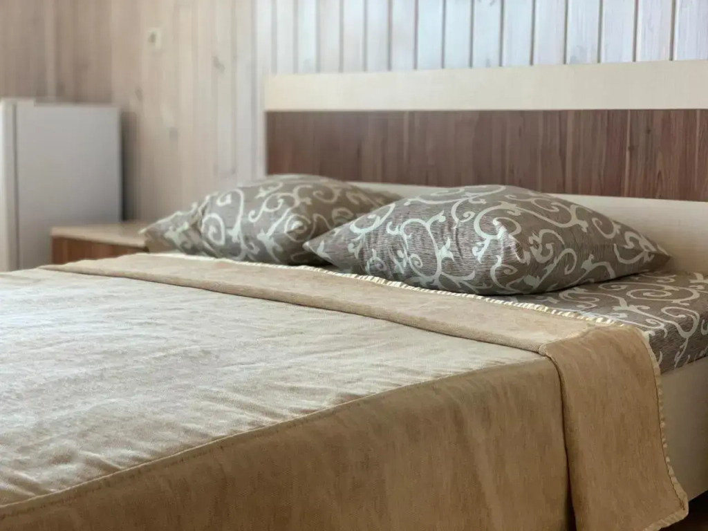Hotel Lev