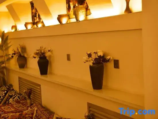 Kashgar  Adenium obesum B&B