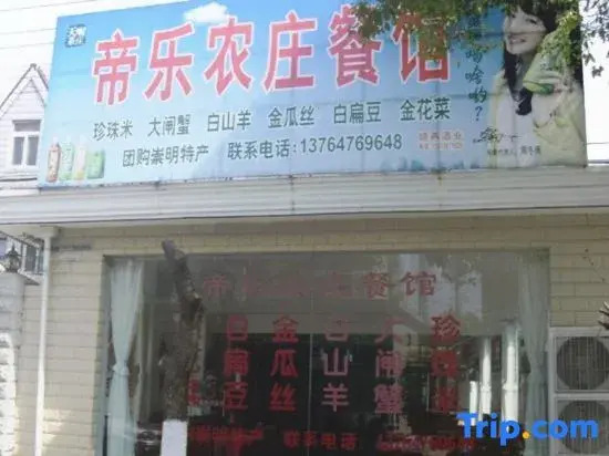 Shanghai Dile Farm