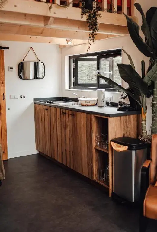 Tiny house Roes