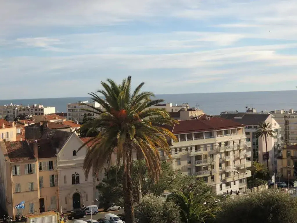 ACCI Cannes Les Yuccas