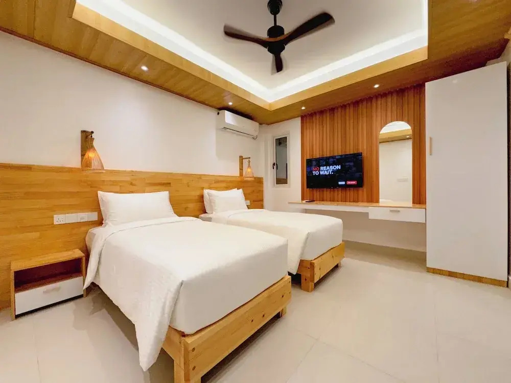 Pavona Maldives