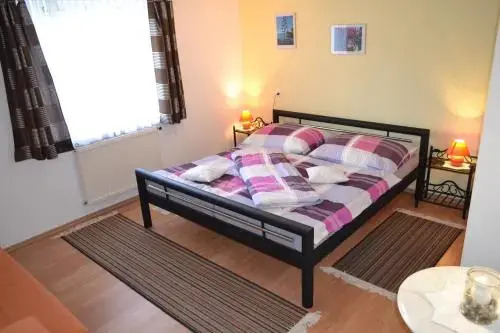 Zimmer Steger