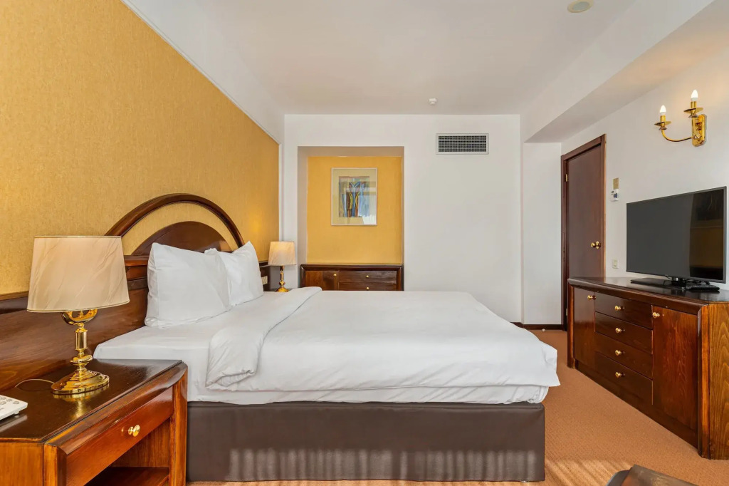 Hotel Aro Palace