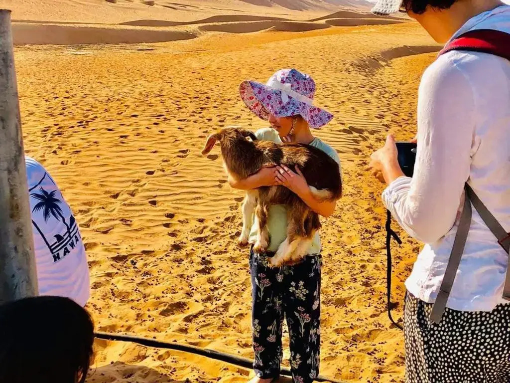 Wahiba Bedouin Rustic Camp