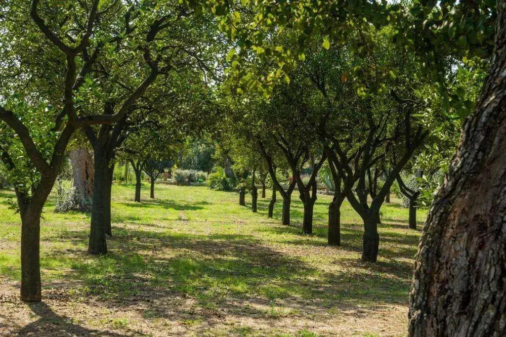 Agriturismo Villa Coluccia