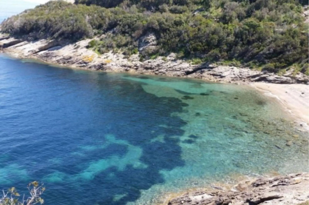 Four Family House - Tree Rooms apt. 5/7 ps.; 250-300 to the sea (sandy beach)-SERENA D