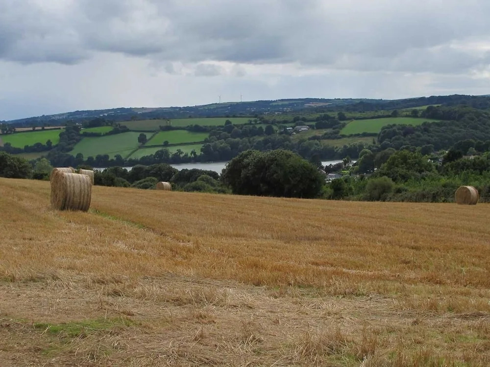 The Meadow