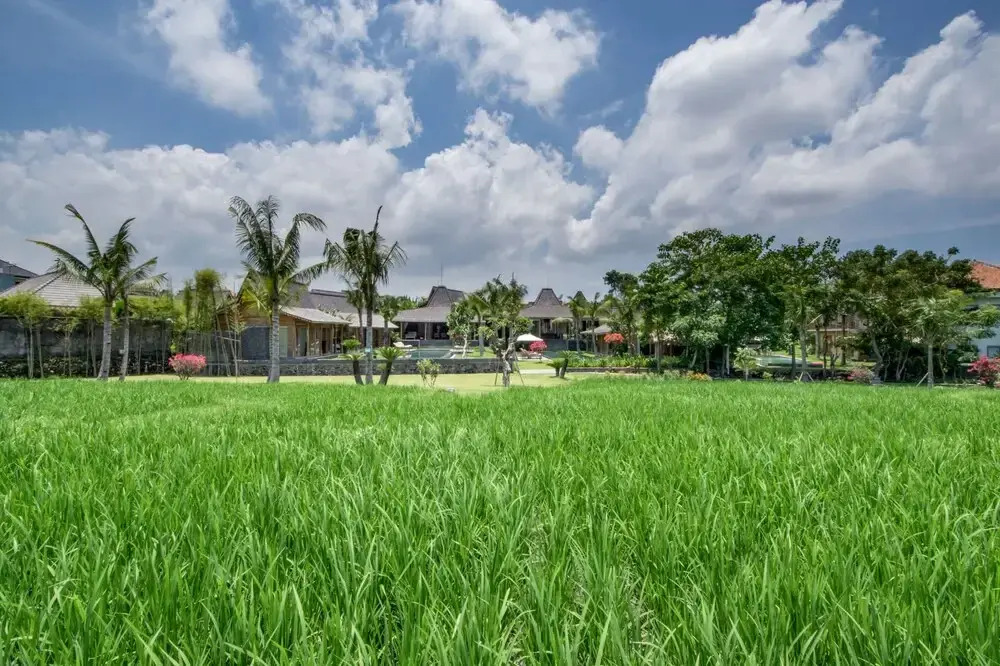 Villa for Rent in Bali 2008