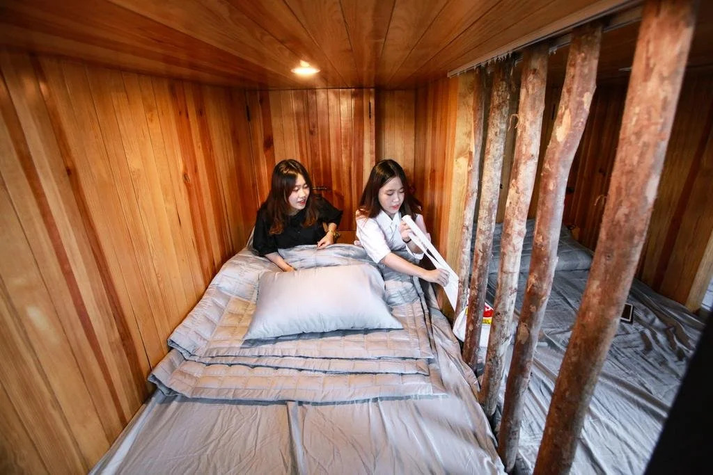 5D Upper Dorm Shared Room Hostel