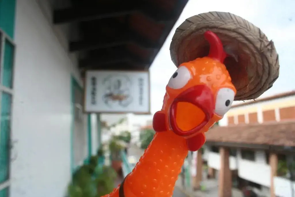 Casa Kraken Hostel
