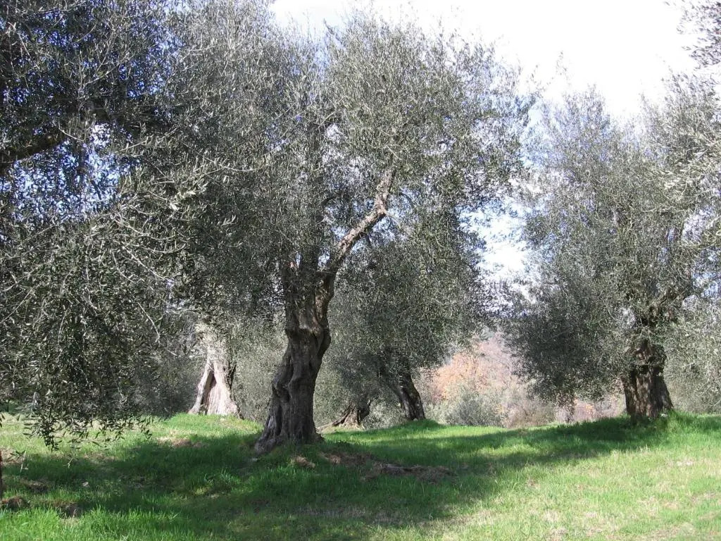 Casa Fioranna