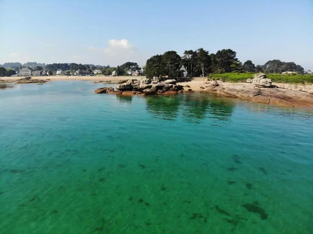Appartement À 20m de la Plage de Tourony À Tregastel - Ref 408