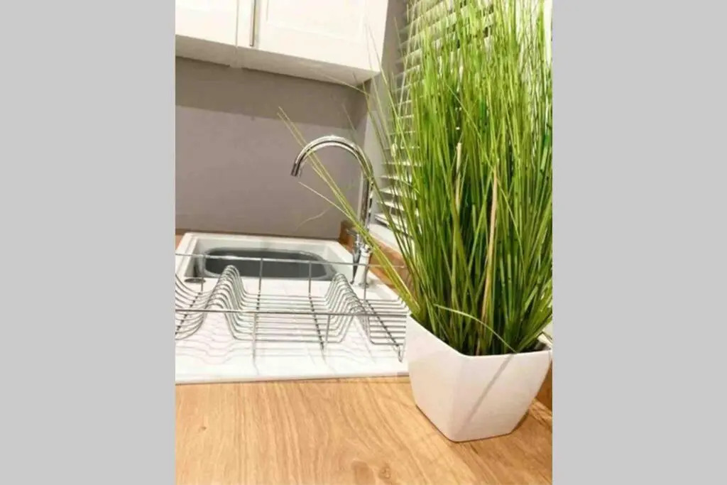 The Terrace Chester, modern 3 bed house