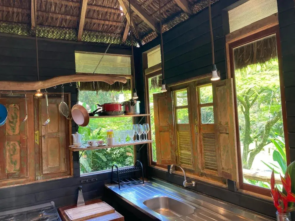 Rainforest Paradise