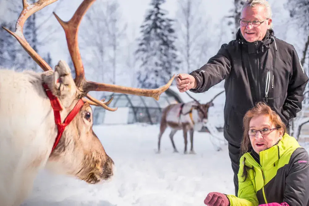 Lapland Northern Lights Hotel Ilveslinna