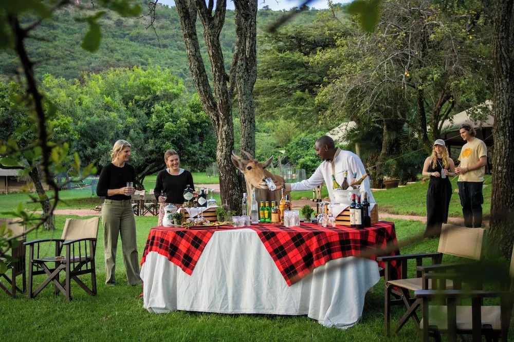 Cottars Safaris