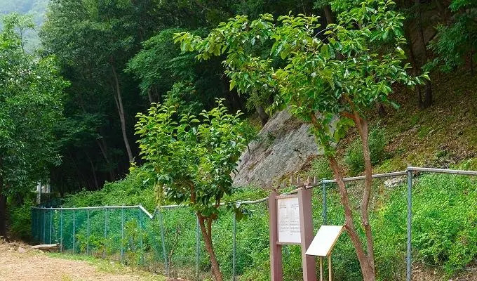 Buan Moolsarang Pension
