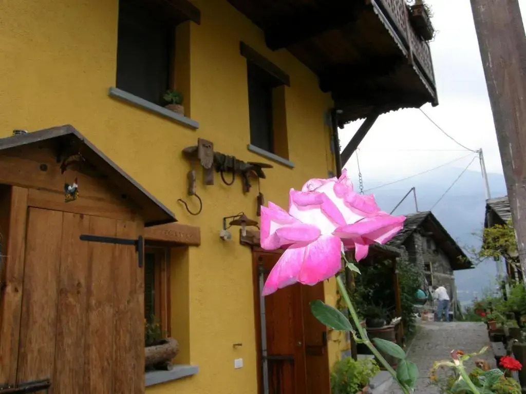 B&B Il Torchio