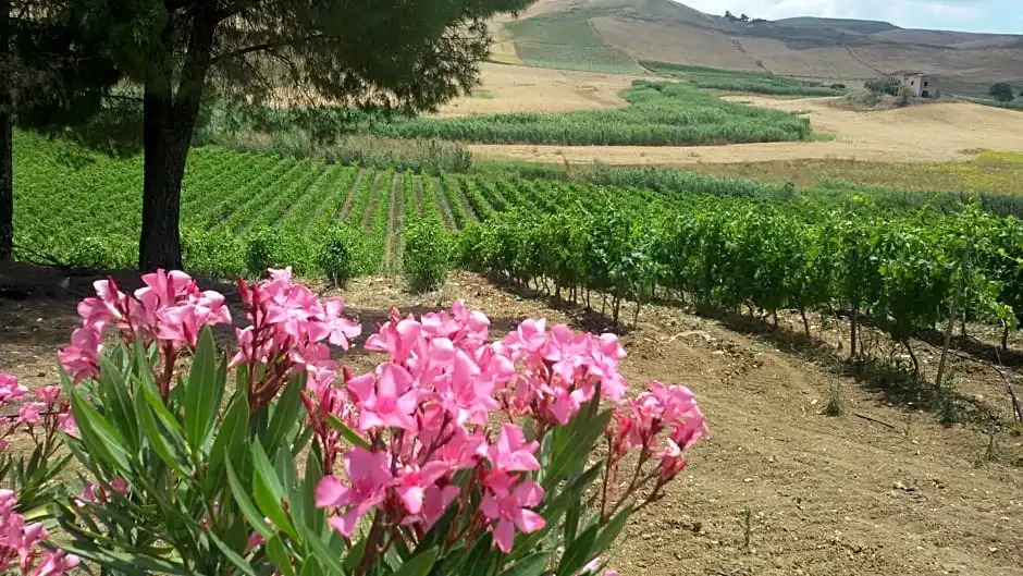 Terre Di Gratia