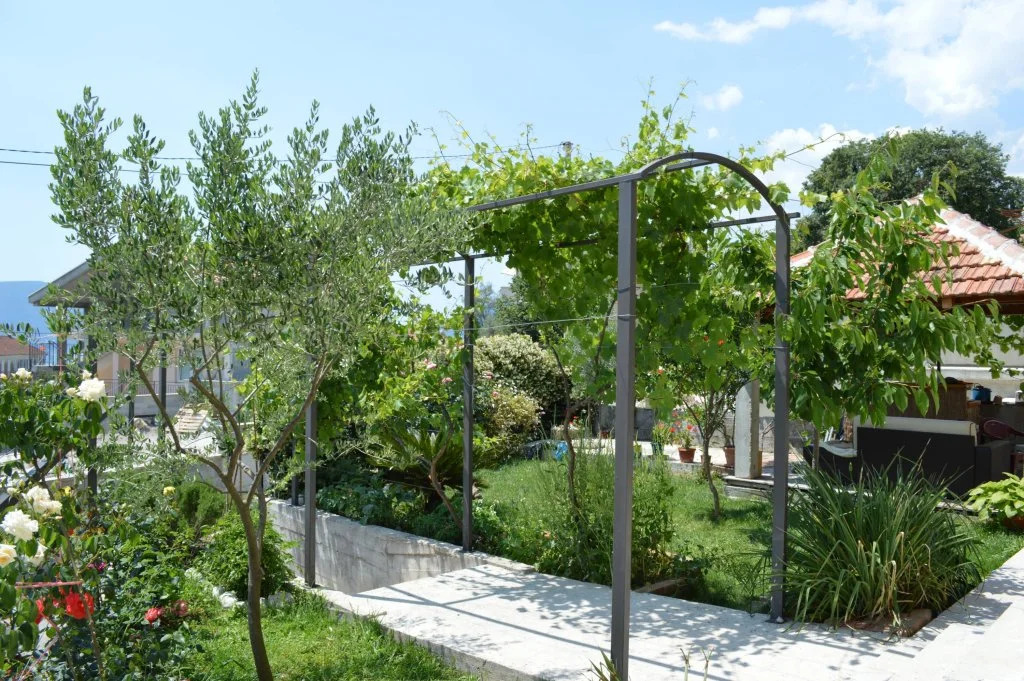 Apartments Adžić
