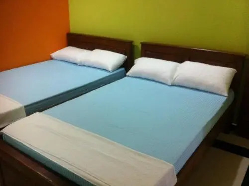 Bee Nest Bed & Breakfast