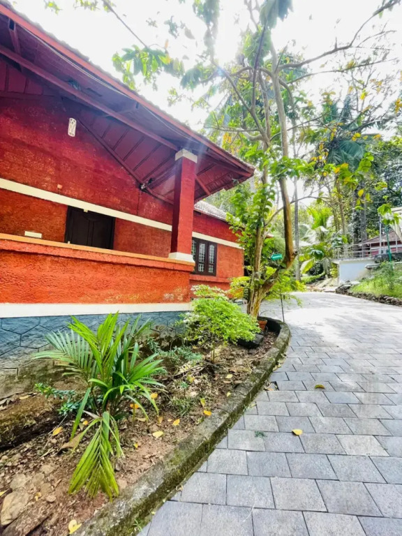 Treetop Resort