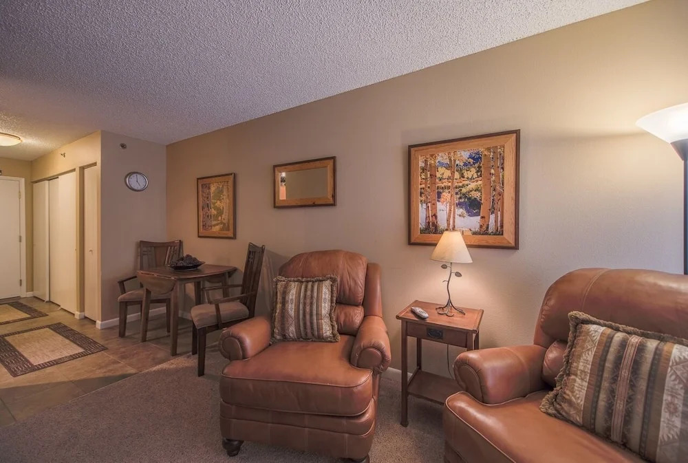 #1596 Awesome Ski-in Studio - Fantastic Mountain Views in Breckenridge
