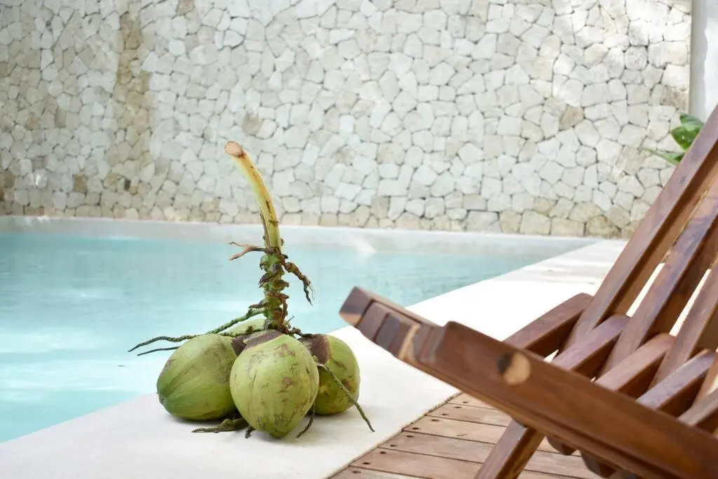 Chic-Modern Apt w/Pool, Garden, Parking & 3 Bikes