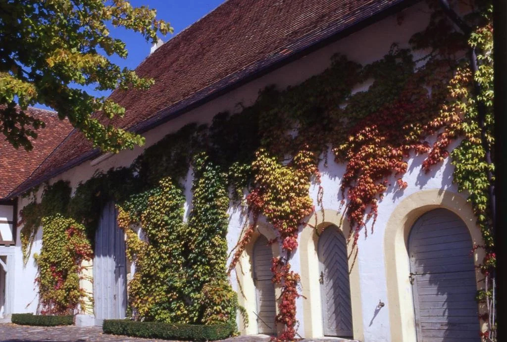 Markgräflich Badischer Gasthof Schwanen